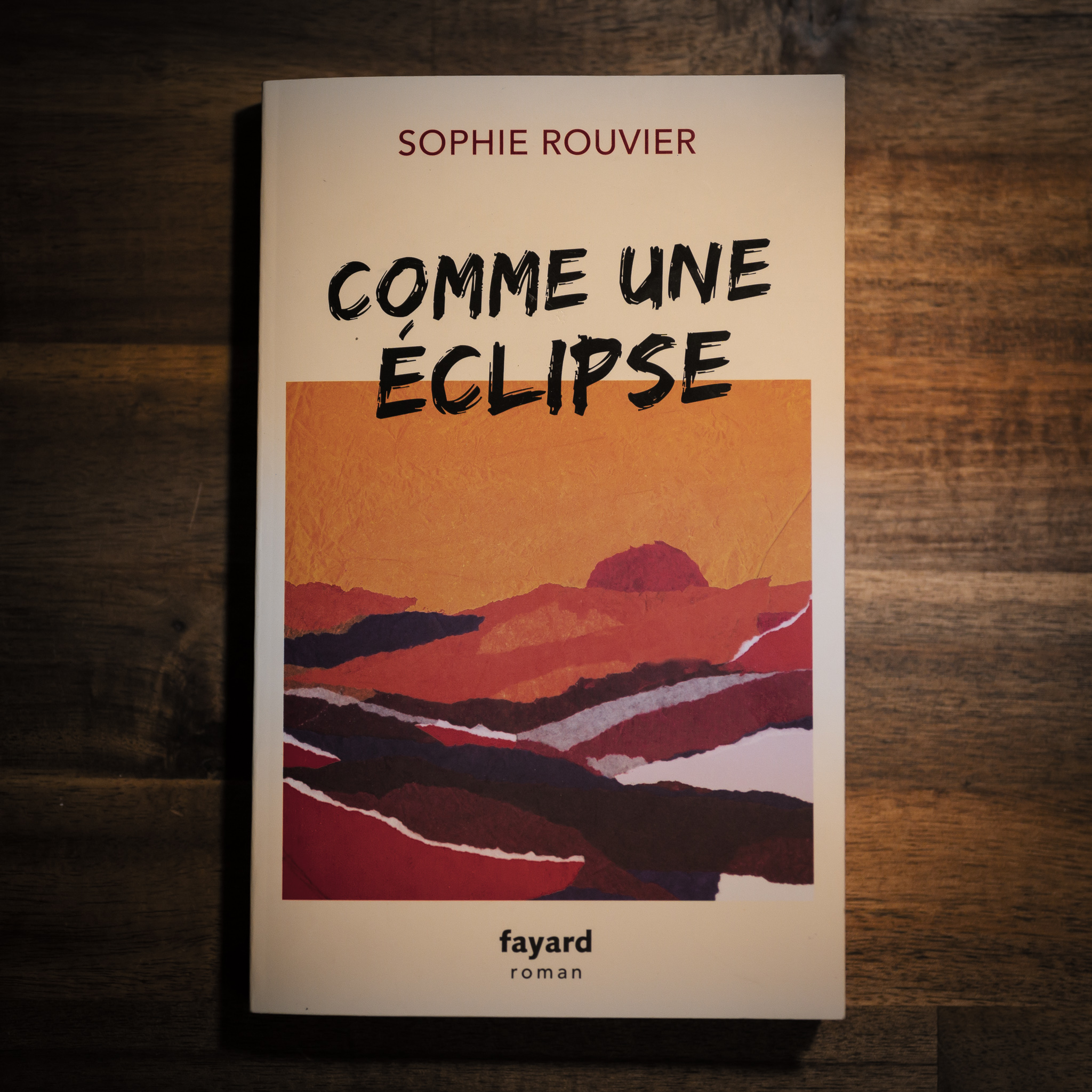 Comme une clipse de Sophie Rouvier Blog Lettres caract res